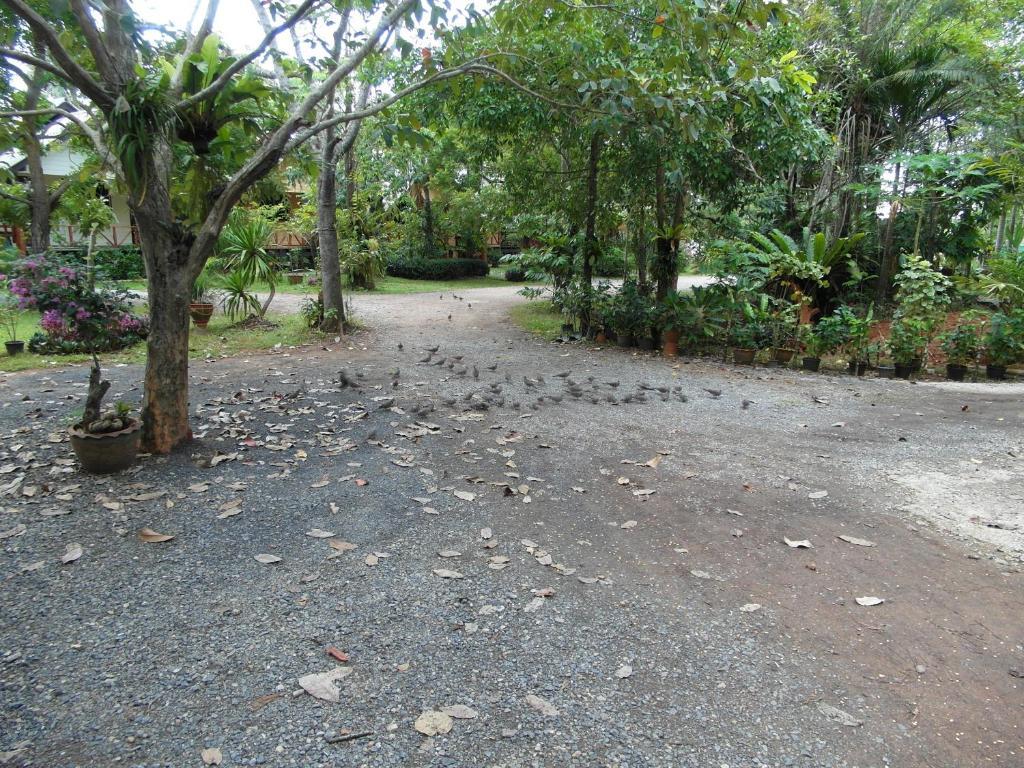 Baan Tai Rom Yen Resort Surat Thani Exterior foto